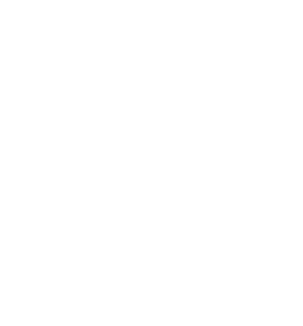 difrens merino biele logo